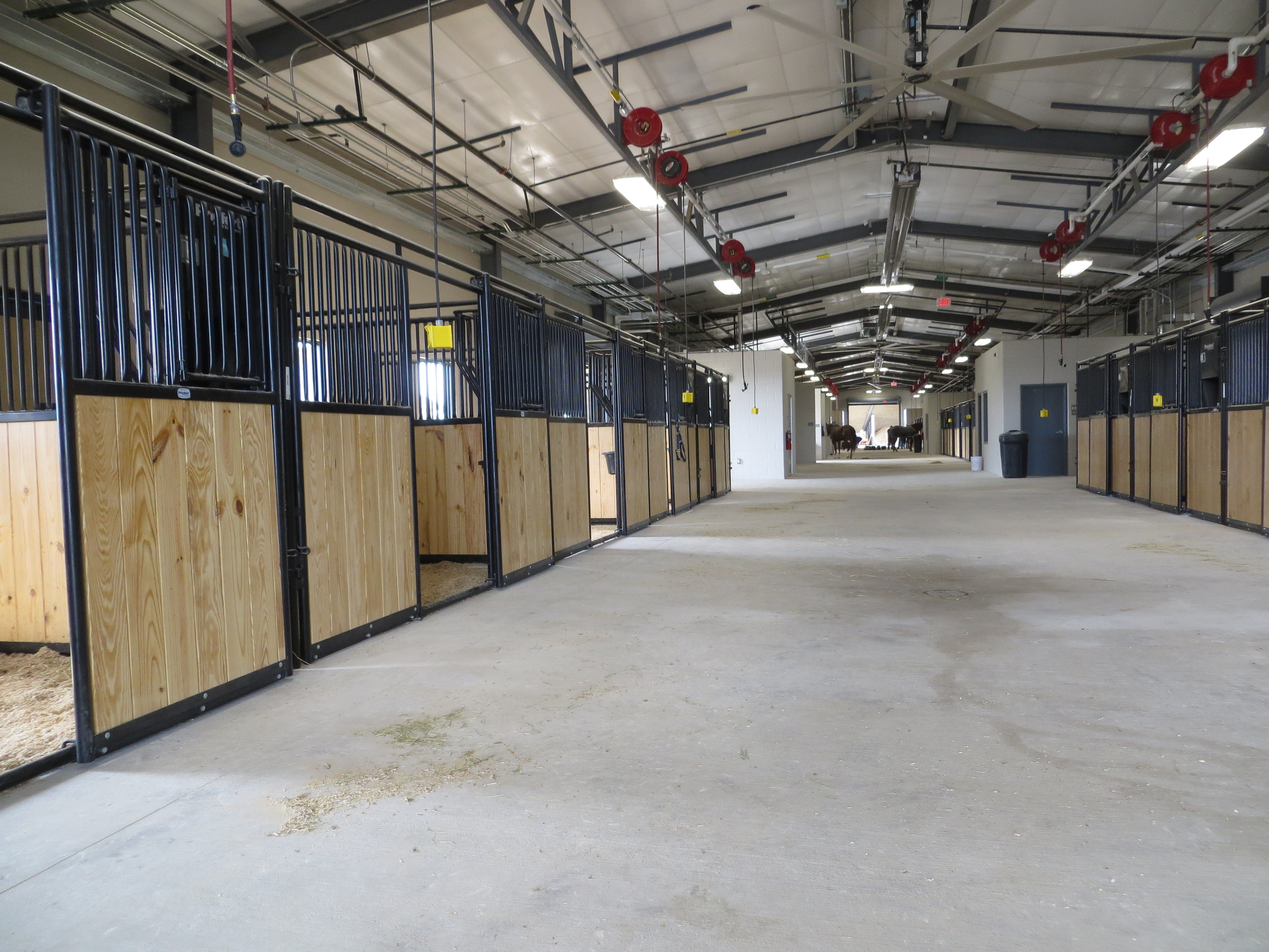 Mounted Patrol 08.JPG